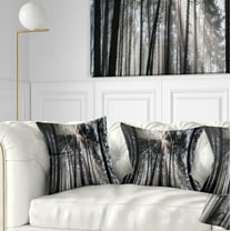 Designart Sunbeams through Black White Forest - Forest Throw Pillow - 18x18