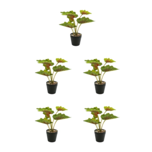 Wosthever Planta en maceta de tortuga ecológica, plantas artificiales de bajo mantenimiento para decoración de balcón, sala de estar JH5478 Type2 NO2