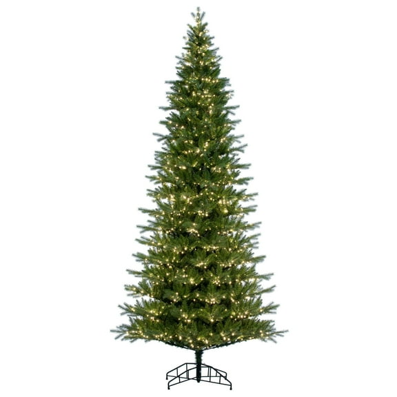Vickerman 10' x 56" Balsam Spruce Slim Tree, 2100 Warm White Low Voltage 3MM LED Lights.