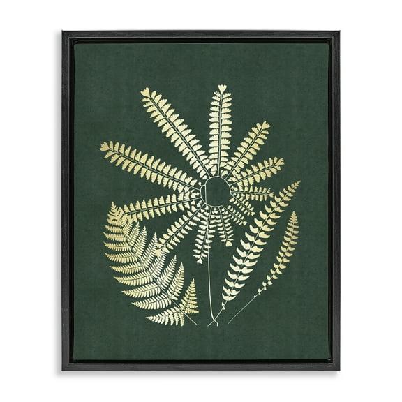 Stupell Industries Fern Sprigs Flower Shape Plants & Flowers Painting Black Floater Framed Canvas Art Print Wall Art, 17 x 21