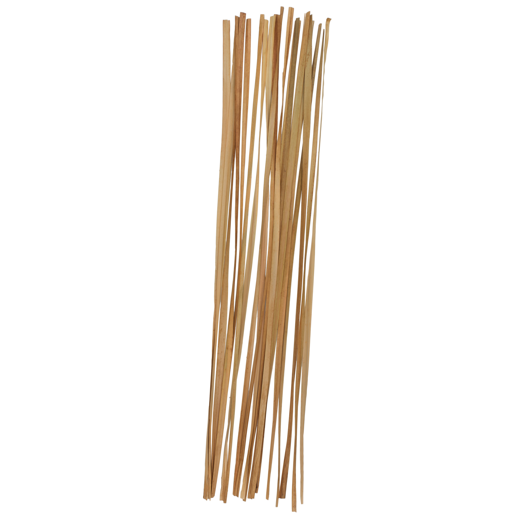 80" Tall Sticks Dried Plant Natural Foliage Bouquet, by DecMode