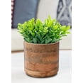 thumbnail image 2 of Medium Mango Wood Cachepot for Flowers & Plants, 6.5" Diameter & 6" Tall, 2 of 6