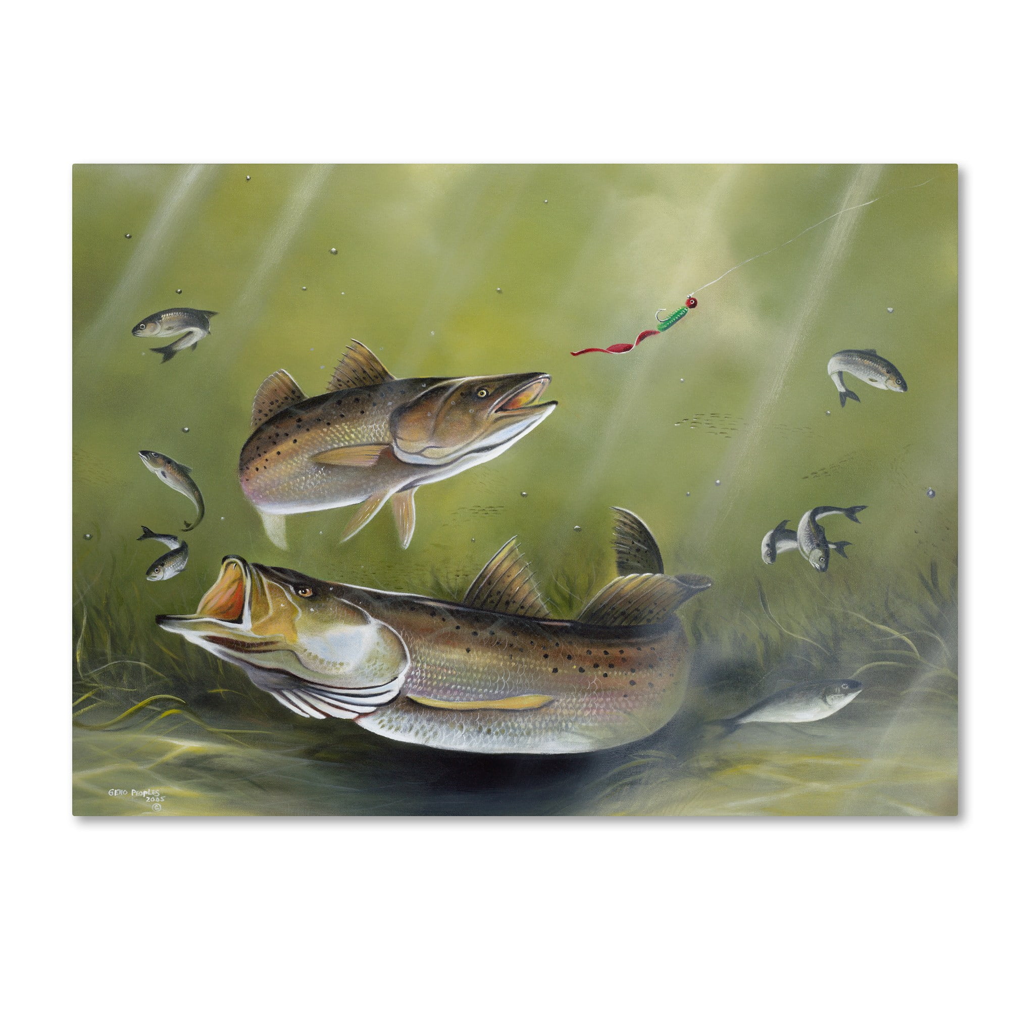 Trademark Fine Art 'Speckled Trout' Canvas Art by Geno Peoples