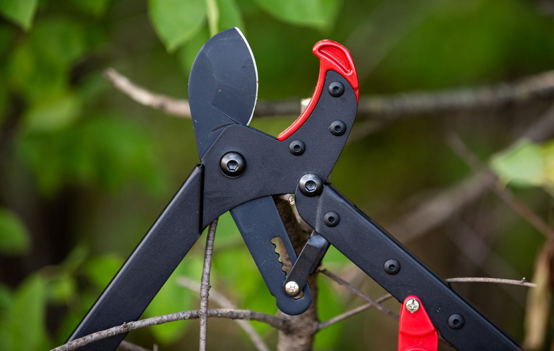 EZ Kut Lil G Branch Cutter Loppers. Ratcheting Tree Cutter - Sub Compact Lightweight Packable Loppers best Tree Branch Cutter - Yard Tools Since 1988