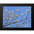 thumbnail image 2 of Chandler, Sharon 24x19 Black Modern Framed Museum Art Print Titled - Petals and Sky I, 2 of 5