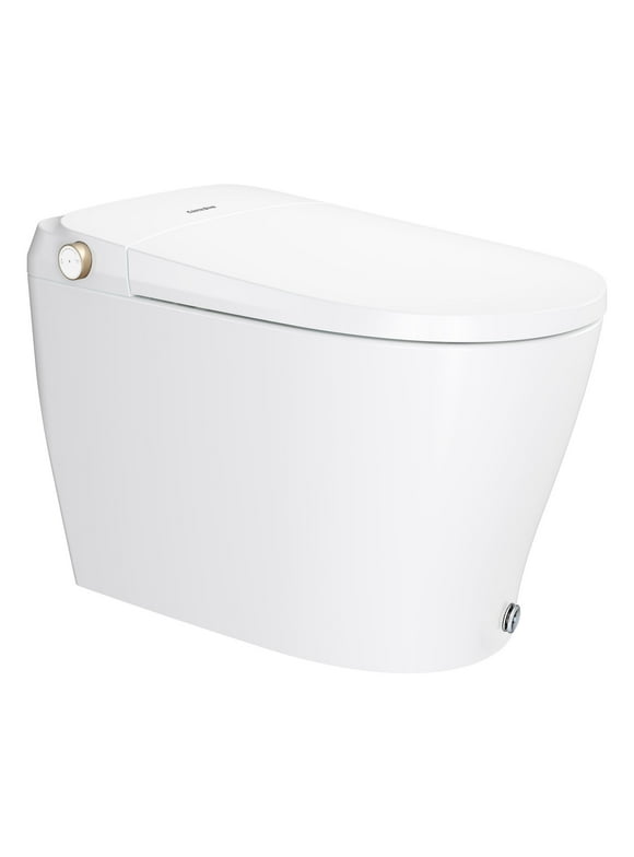 Freestanding Bidet Toilets in Bidets