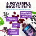 thumbnail image 4 of Elderberry Gummies - 3X Strength Black Elderberry Immune Support Gummy with Vitamin C, D3 and Zinc for Kids & Adults, Immune Health Support Supplement Gummy, Black Elder Berry Vitamins - 60 Gummies, 4 of 10