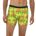 thumbnail image 2 of Cauagu Cartoon Turtles 1 Print Men's Boxer Briefs, Funny & Cute Underwear Elastic Waistband Briefs Ideal Gift for Men,1-Pack, 2 of 7