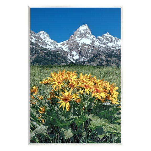 Stupell Industries Daisies & Mountain Peaks Landscape Photography Unframed Art Print Wall Art, 10 x 15