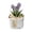 Purple, variant on Personalized Mothers Day Flower Pot, Custom Glass Everlasting Tulips with Text, Hand Blown Glass Potted Flowers, Mothers Day Flower Pot, Floral Ornament Ceramic Planter for for Mom,Grandma Wife