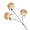 Champagne, variant on Mifelio Three-Head Artificial Rose Stem, Champagne, 16 × 66 cm / 3 Heads