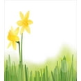 thumbnail image 3 of Daffodil Duvet Cover Set, Daffodil Flower in Grass Field Meadows Freshening Uniform Colored Illustration, Decorative 3 Piece Bedding Set with 2 Pillow Shams, Queen Size, Green Yellow, by Ambesonne, 3 of 3
