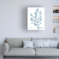 thumbnail image 3 of Vision Studio 'Antique Botanical in Blue VIII' Canvas Art, 3 of 3