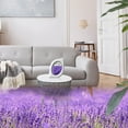 thumbnail image 6 of Small Spaces Air Freshener for Home, Lavender Scent 6 Pack, 6 of 8