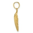 thumbnail image 2 of Real 14kt Yellow Gold Scallop Shell Pendant; for Adults and Teens; for Women and Men, 2 of 4