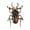 alloy beetle, variant on 2024 Fashion Cute Alloy Animal Insect Crystal Brooch Pin Women Party Jewelry-red cock