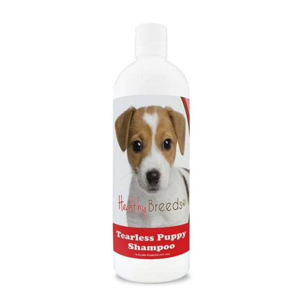 Healthy Breeds 840235186496 Jack Russell Terrier Tearless Puppy Dog