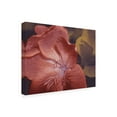 thumbnail image 2 of Jacob Green 'Garden Geraniums II' Canvas Art, 2 of 3