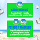 thumbnail image 5 of Amarte Labs Electrolitos 5 Sabores Refrescantes 30 Sobres, 5 of 10