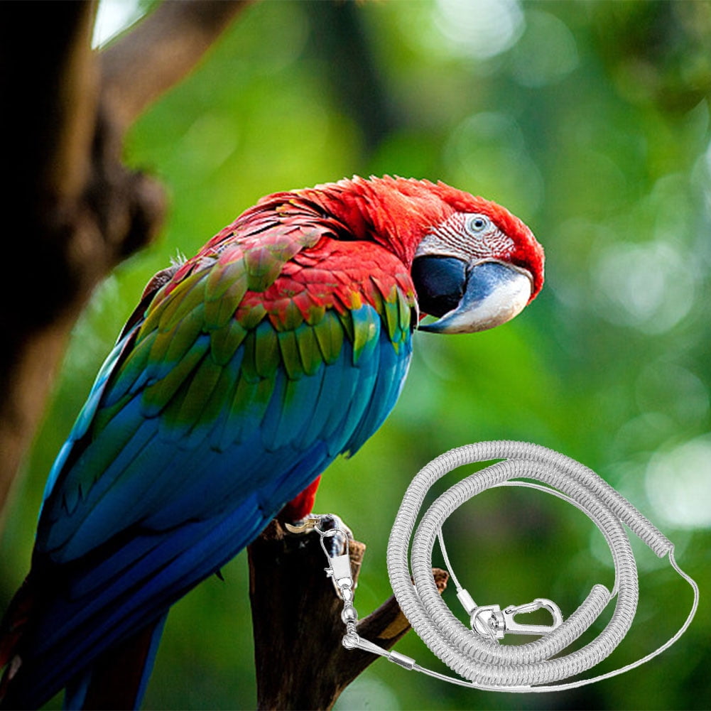 6M Parrot Bird Harness Leash Antibite Outdoor Plastic Flying Training
