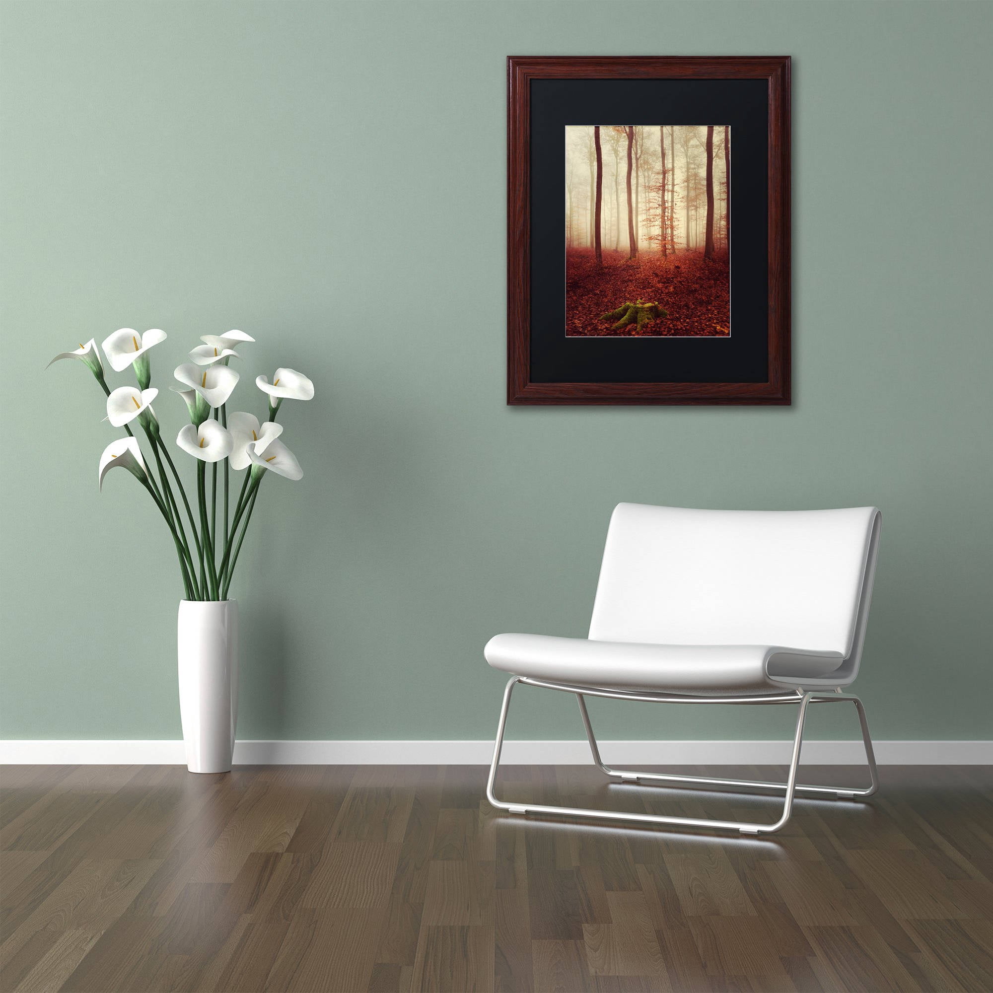 Trademark Fine Art "Land of the Free" Canvas Art by Philippe Sainte-Laudy Black Matte, Wood Frame