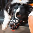 thumbnail image 4 of HLONK Muzzle Anti-bite Mask Dog Masks Hollow Out Breathable Muzzles for Medium Dogs Large, 4 of 6