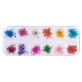 thumbnail image 2 of 12 Colores Arte de Uñas Flor Seca Real Accesorios de Uñas 3D Decoración de Uñas - Flor de gypsophila, 2 of 9