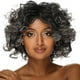 thumbnail image 1 of New Chic Afro Kinky Curly Mujer Pelucas Cintura Natural Peinado Sintético Plata Gris Mezcla, 1 of 5