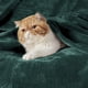 thumbnail image 2 of Manta polar para cama, color verde bosque, 130 x 150 cm, 300 g/m², 2 of 8