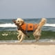 thumbnail image 5 of Chaleco salvavidas para perros EMUST L, impermeable, de alta flotabilidad, naranja, 5 of 5