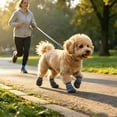 thumbnail image 3 of CSStudio 4 Pack Non Slip Dog Socks with Adjustable Straps, Waterproof Rubber Bottom Pet Paw Protector Booties, Anti Licking Traction Shoes for Indoor Floor & Light Outdoor Walks, 3 of 5