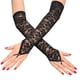 thumbnail image 1 of Guantes largos de encaje Mangas hasta el codo Guantes sin de Accesorios de Negro Zulema Guantes largos, 1 of 8