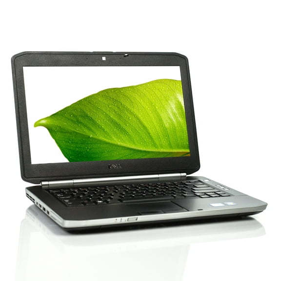 Dell Latitude E5420 Laptop i5 Dual-Core 8GB 500GB Win 10 Pro B v.WBA