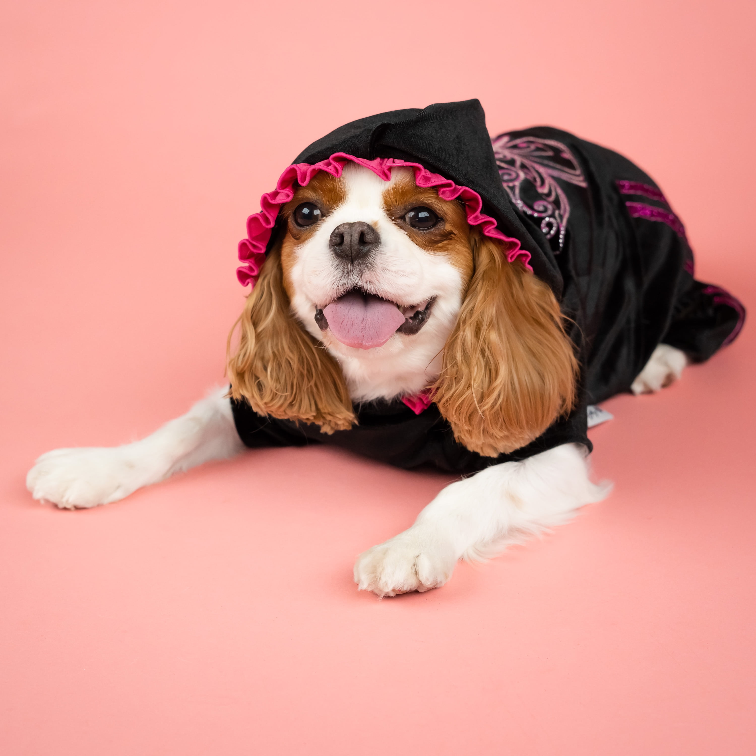 Doggy Parton, Dog Clothes, Sparkle Butterfly Pet Track Suit, Black, XXL