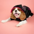 thumbnail image 5 of Doggy Parton, Dog and Cat Clothes, Sparkle Butterfly Pet Track Suit, Black, XS, 5 of 12