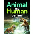 thumbnail image 2 of Steam Learning Library Grade 4 Collection (Other), 2 of 9