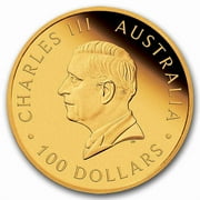 2025 Australia 1 oz Gold Colorized Koala Proof (Box & COA)