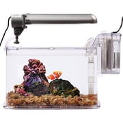 Hawkeye Deco Aquarium Kit for 3 Gallon Tank