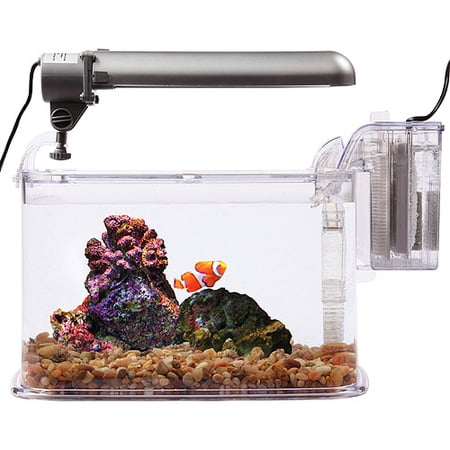 Hawkeye Deco Aquarium Kit for 3 Gallon Tank