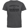 thumbnail image 1 of Viking Propriété de Ragnarok Département d'Entraînement T-Shirt pour Hommes, 1 of 1