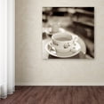 thumbnail image 3 of Trademark Fine Art "Jardin du Luxembourg II" Canvas Art by Alan Blaustein, 3 of 3