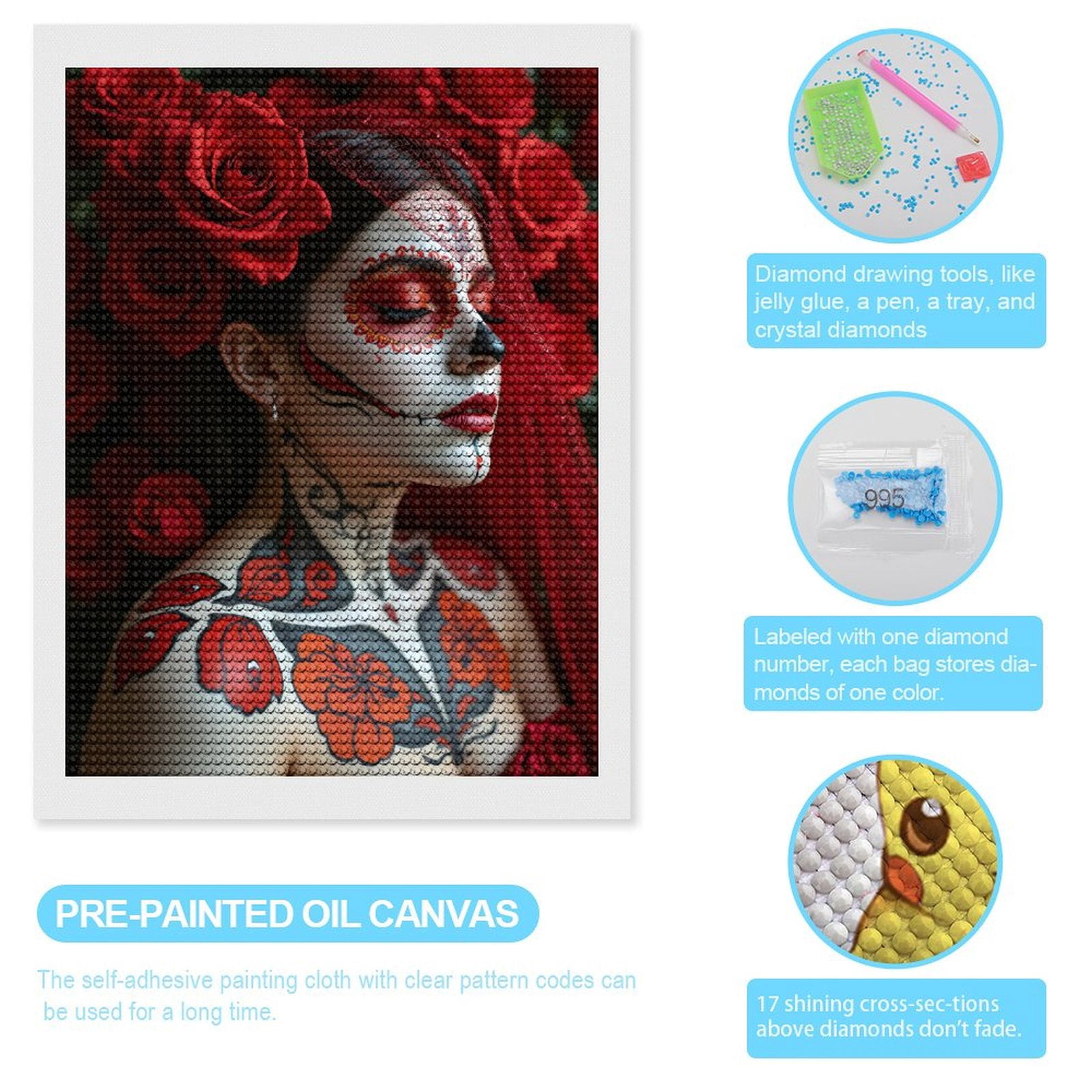 Diamond Art Kits for Adults, Red Rose Face Art Portrait 5D Diamond Painting Kits for Adults Beginners, DIY Full Drill Diamond Painting, Gem Art and Crafts 12x16