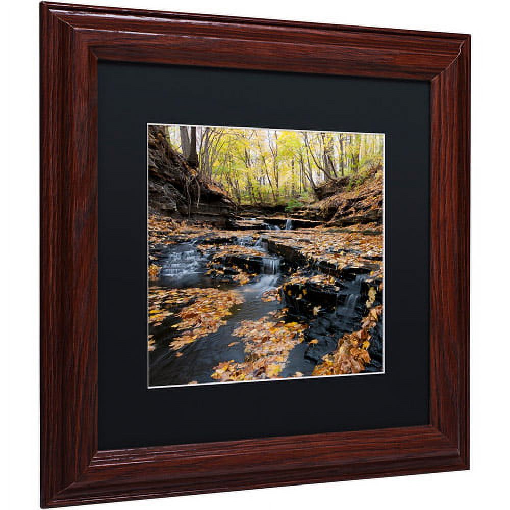 Trademark Fine Art "Lakeview Autumn Falls" Canvas Art by Kurt Shaffer Black Matte, Wood Frame