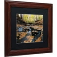 thumbnail image 2 of Trademark Fine Art "Lakeview Autumn Falls" Canvas Art by Kurt Shaffer Black Matte, Wood Frame, 2 of 4