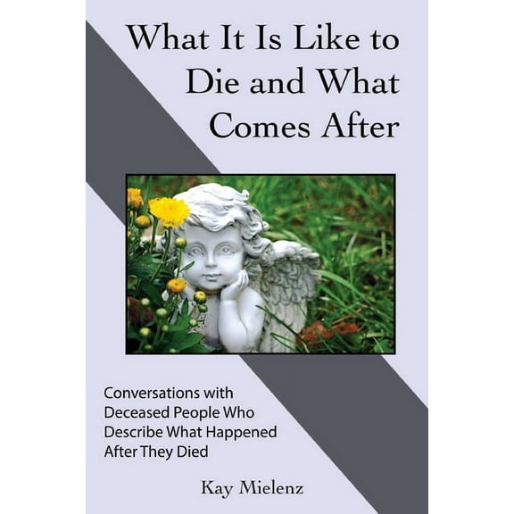 What It Is Like to Die and What Comes After: Conversations with Deceased People Who Describe What Happened After They Di, (Paperback)