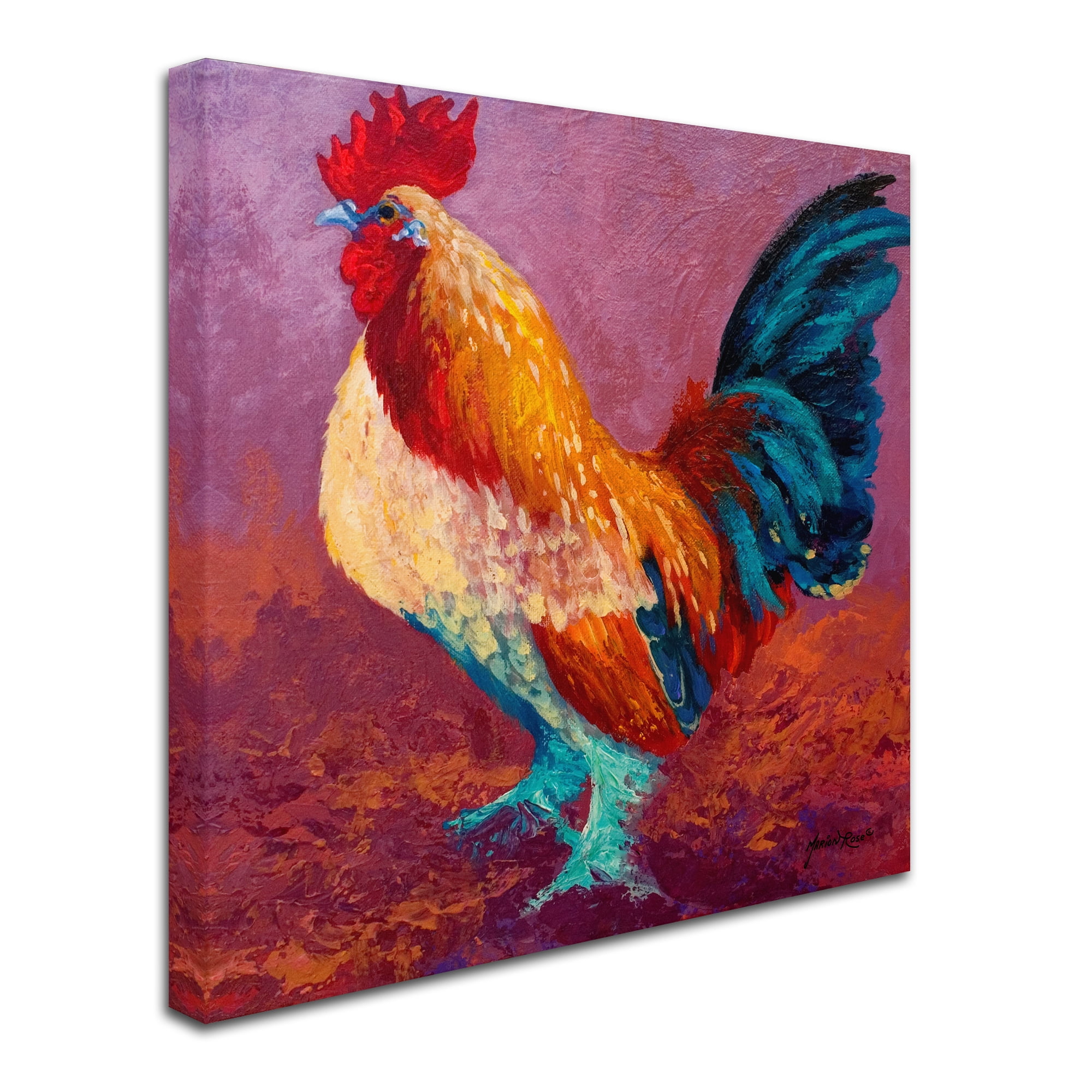 Trademark Fine Art 'Fancy Pants' Canvas Art by Marion Rose
