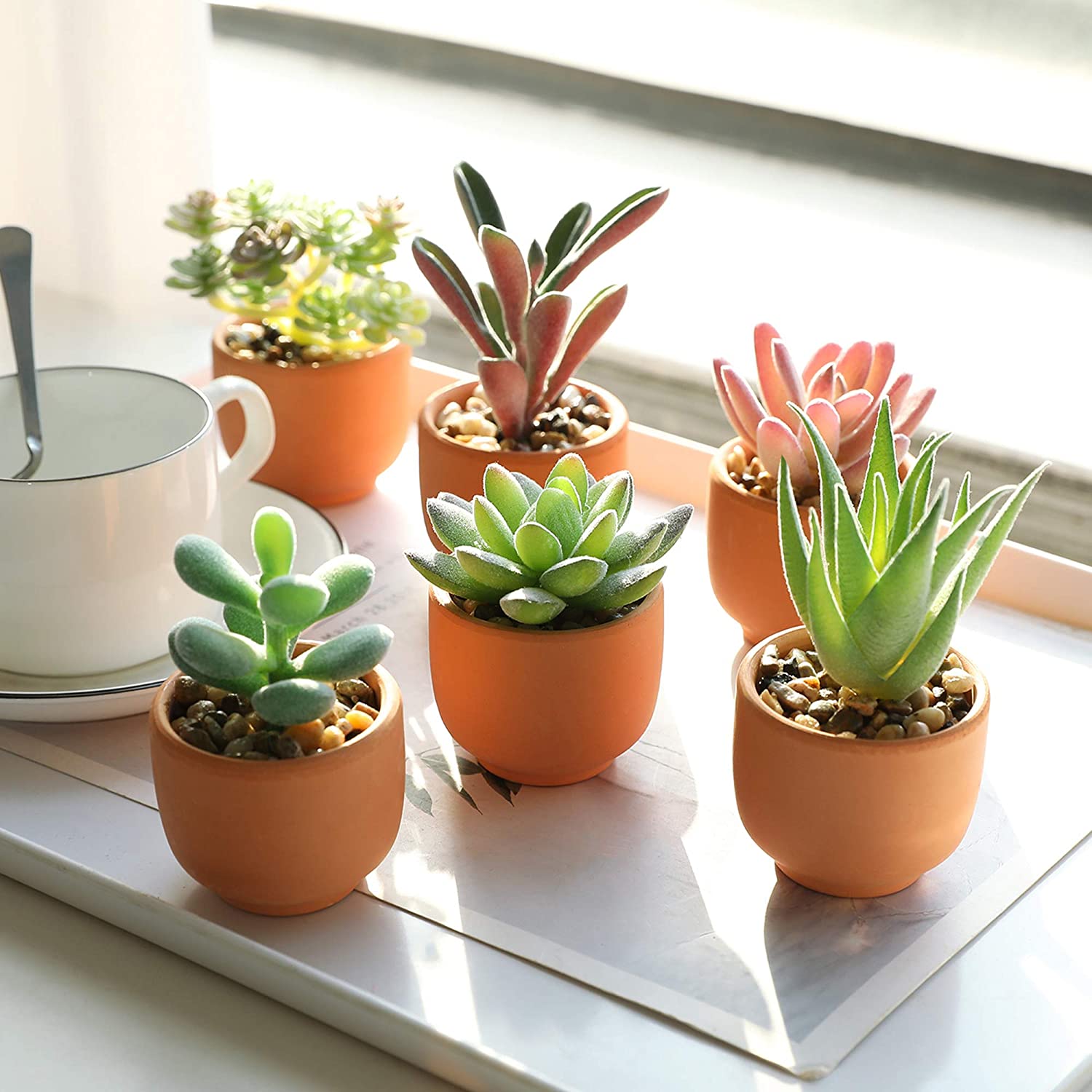 Mini Fake Succulent Plants Artificial Plastic Succulents Potted Faux Assorted Plants for Home Office Table Decoration, Set of 6 (White Plastic Pots)