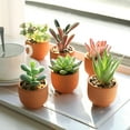 thumbnail image 5 of Mini Fake Succulent Plants Artificial Plastic Succulents Potted Faux Assorted Plants for Home Office Table Decoration, Set of 6 (White Plastic Pots), 5 of 5