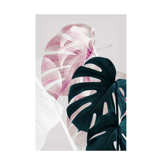 Trademark Fine Art Pictufy Studio Monstera Creative 08 Canvas Wall Art