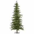 thumbnail image 1 of Vickerman A101880 8 ft. x 46 in. Green Shawnee Fir Christmas Tree with 1194 Tips, 1 of 2